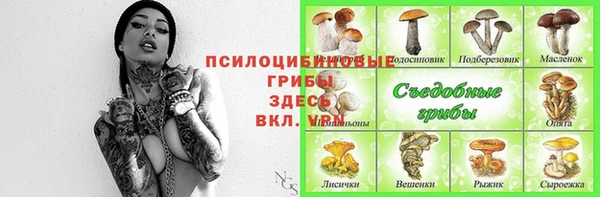 прущие крисы Алексин